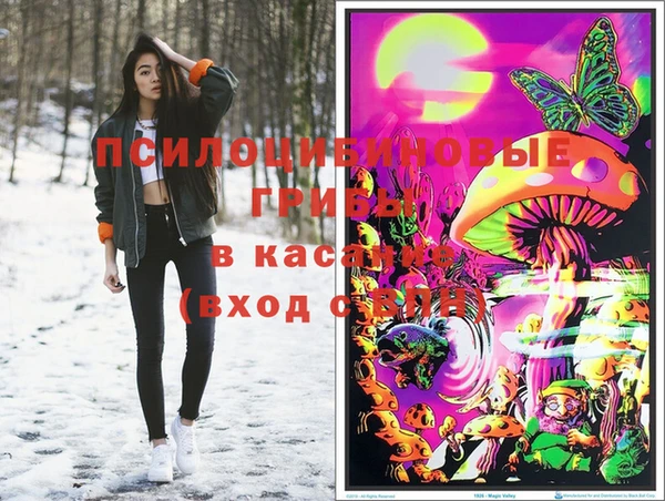 шишки Балахна