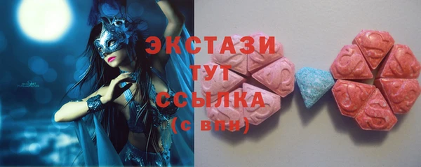 индика Ельня