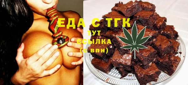 тгк Инсар
