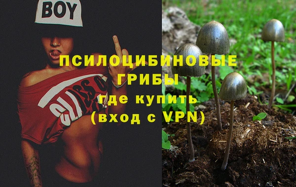 ALPHA PVP Аркадак