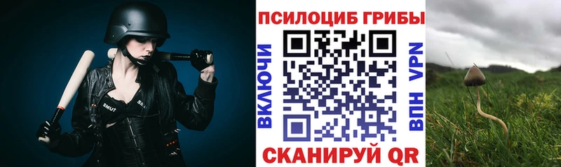 Псилоцибиновые грибы прущие грибы  Каспийск 