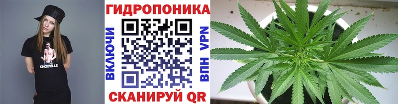 купить закладку  Каспийск  Канабис MAZAR 